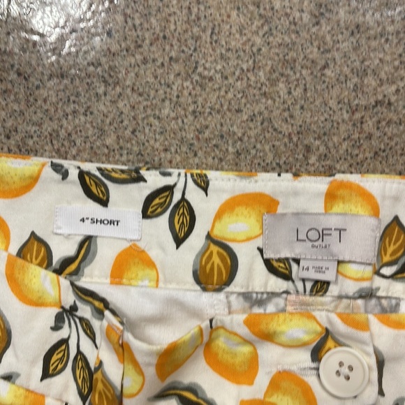 Loft Shorts - Picture 3 of 3